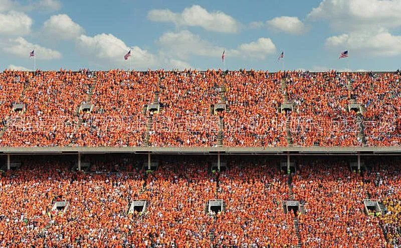 欧亿体育全站app下载安装百度游戏蔡胜妻子：足球明星背后坚强的女人|简历、成就一览