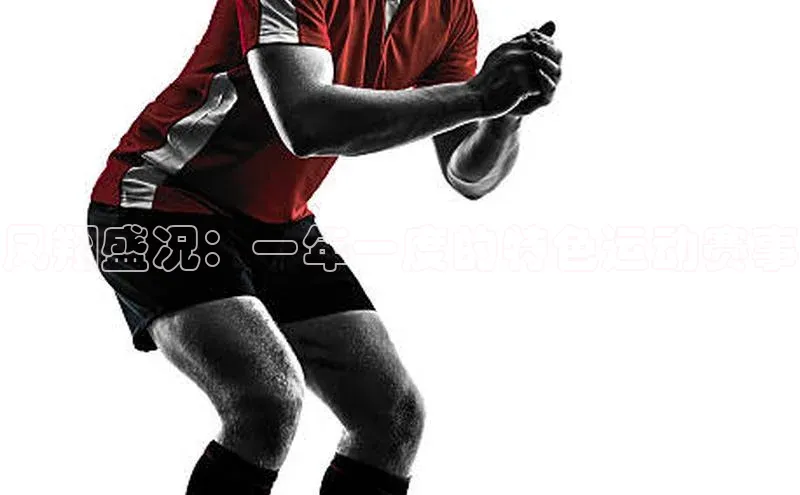 凤翔盛况：一年一度的特色运动赛事