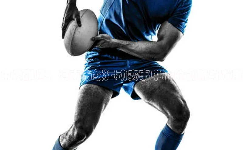 中原雄风：河南市级运动赛事中心的创新与发展