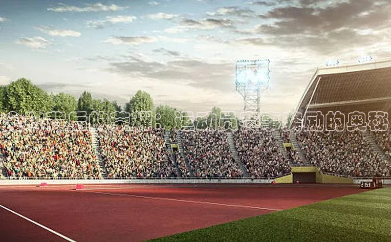 金牌背后的荣耀：运动员赛事奖励的奥秘