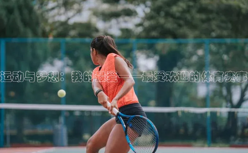 运动与梦想：我的最爱——最受欢迎的体育赛事