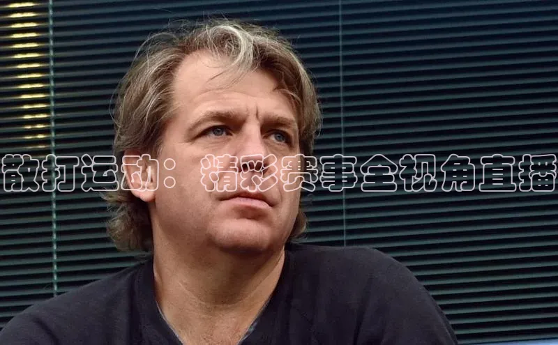 散打运动：精彩赛事全视角直播