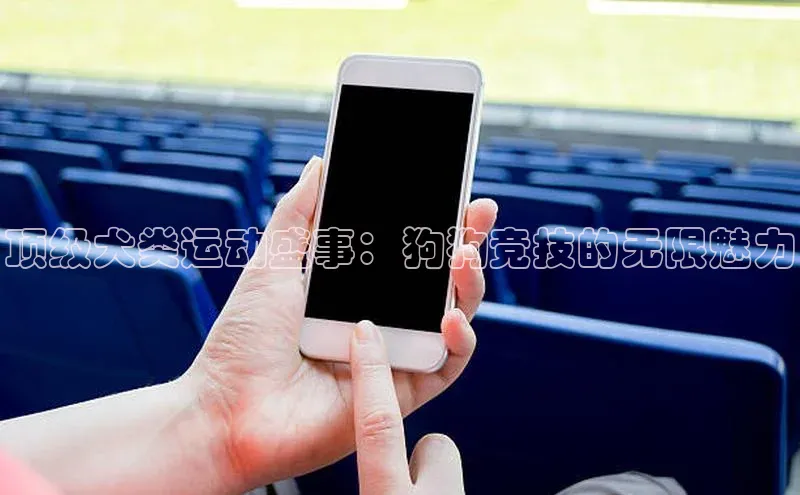 顶级犬类运动盛事：狗狗竞技的无限魅力