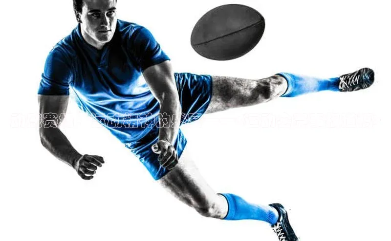 动感赛场：运动精神的盛宴——<运动会赛事报道稿>