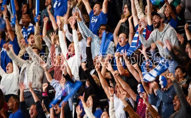 飞跃激情：运动的庆典