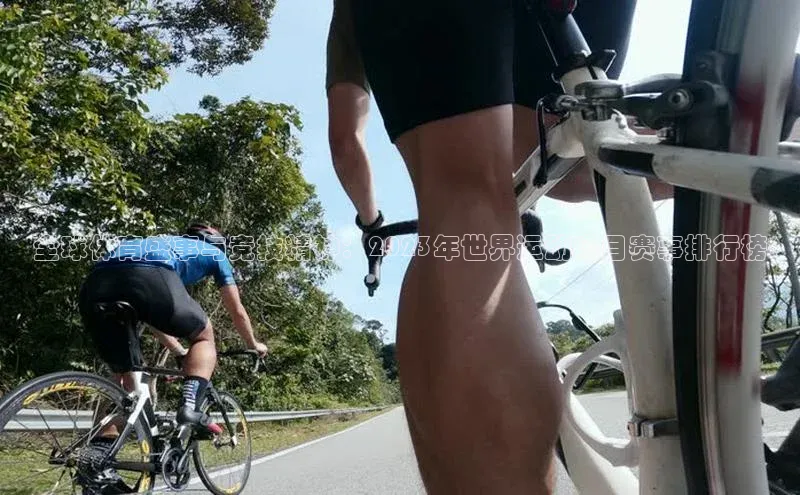 全球体育盛事与竞技精神：2023年世界运动项目赛事排行榜