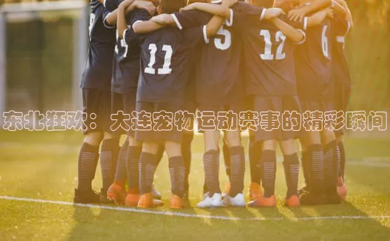 东北狂欢：大连宠物运动赛事的精彩瞬间