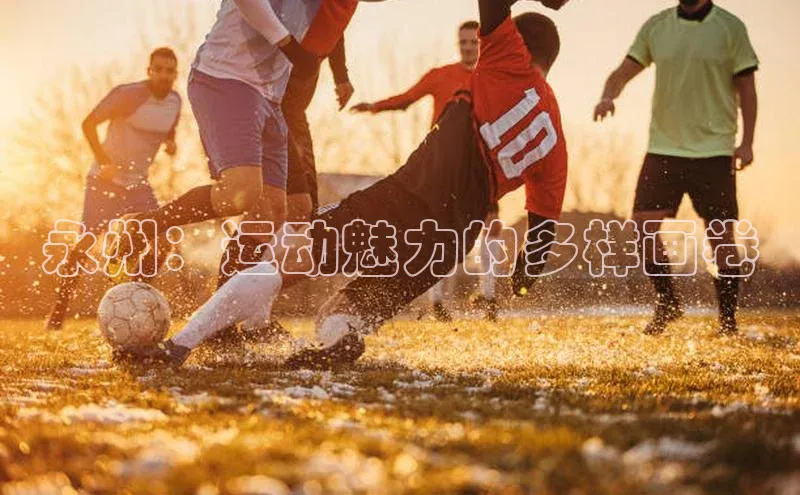 永州：运动魅力的多样画卷