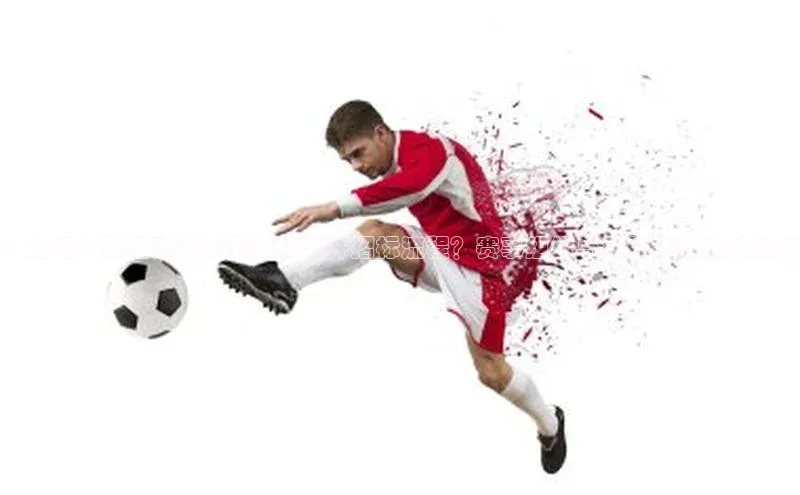 ：为何大型运动赛事需采用公开招标流程？赛事组织与投标策略的关键点