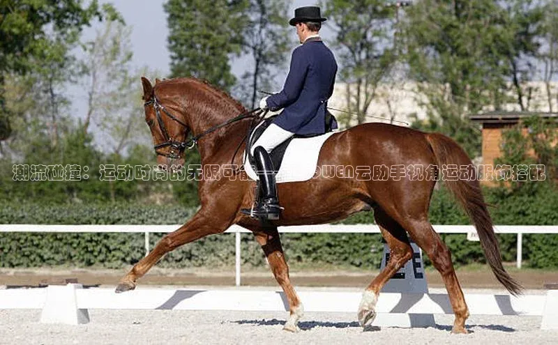 潮流碰撞：运动时尚的无限可能——以QWEN云助手视角运动服饰搭配