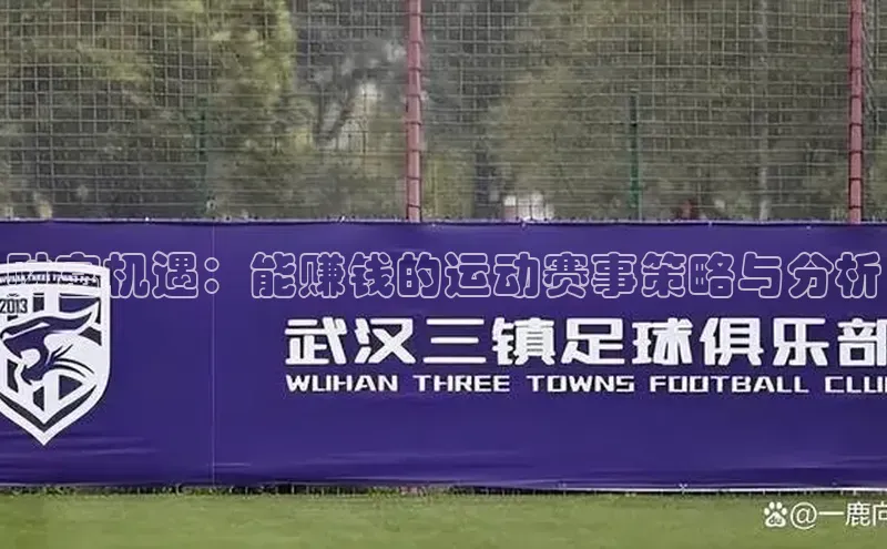 财富机遇：能赚钱的运动赛事策略与分析